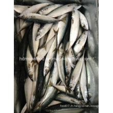 Poisson Frozen Seafood Mackerel